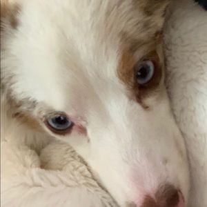 Meet your Posher, Brandy